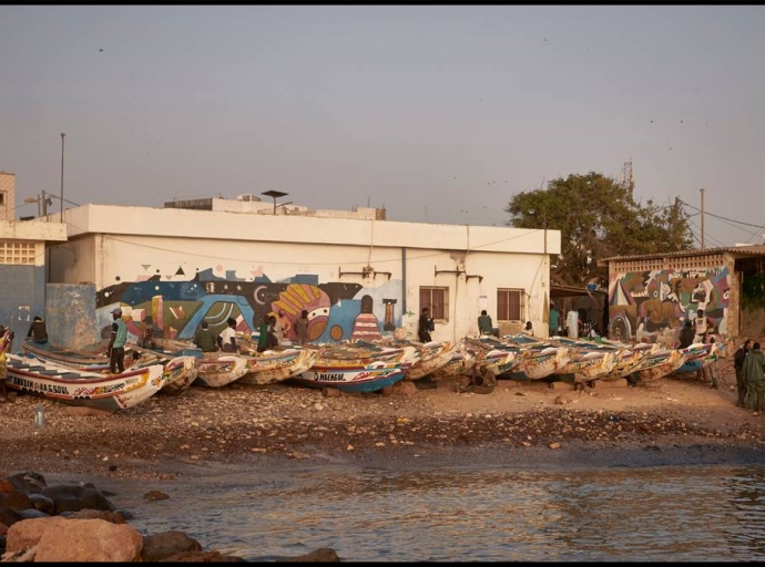 Fishmeal Factories Devouring West Africa's Oceanic Food Basket